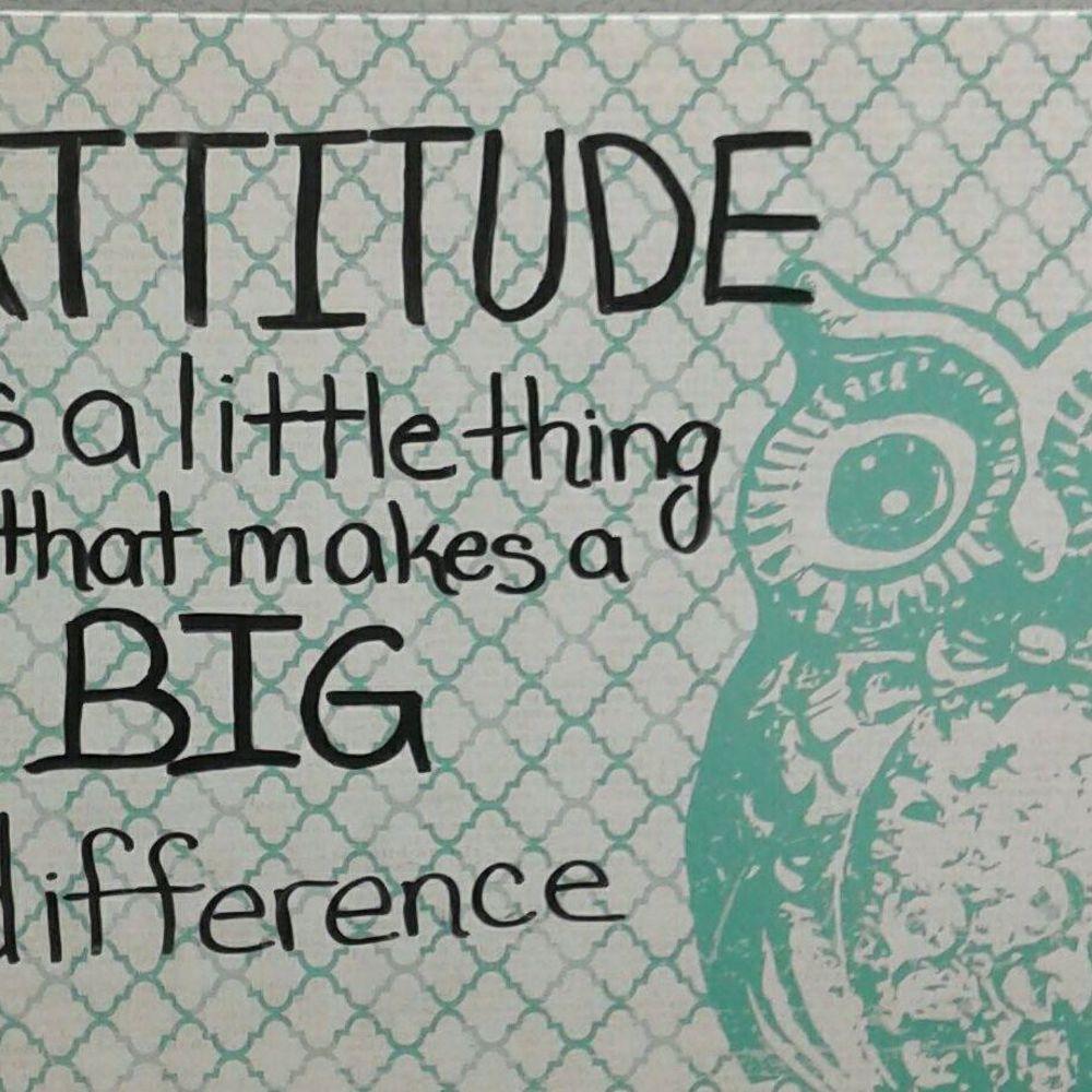 Meet your Posher, Lynn